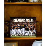 Tennessee 2024 NCAA College World Series Nat Champs Diamond Vols Book